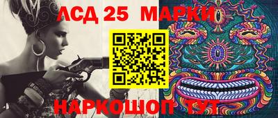 спиды Шахты