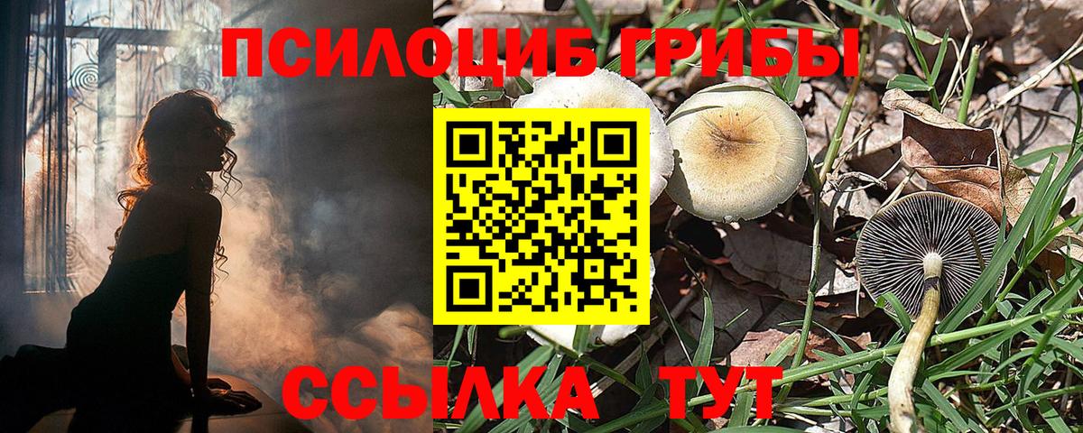 Псилоцибиновые грибы MAGIC MUSHROOMS  Псилоцибиновые грибы MAGIC MUSHROOMS  Вход с VPN  Алатырь 
